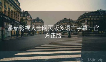 番茄影视大全网页版多语言字幕：官方正版