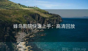 蜂鸟影院快速上手：高清回放