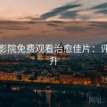 樱花影院免费观看治愈佳片：评分飙升