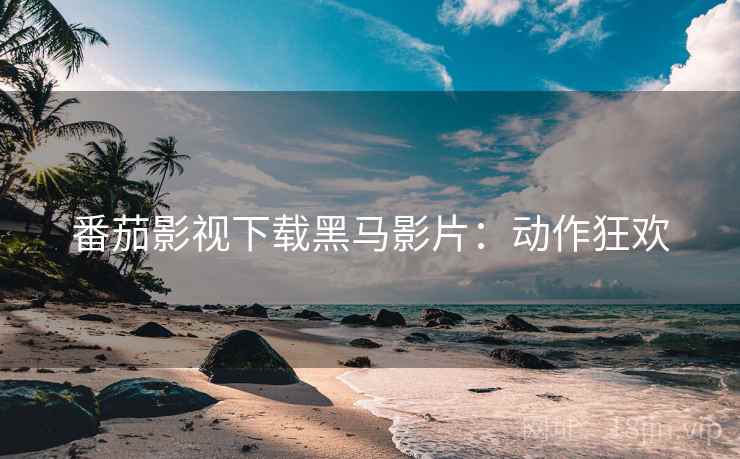 番茄影视下载黑马影片：动作狂欢